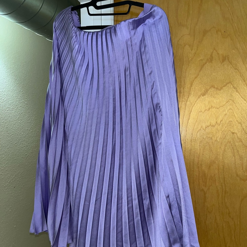 Zara pleated skirt!